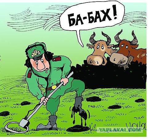 А давайте улыбнёмся