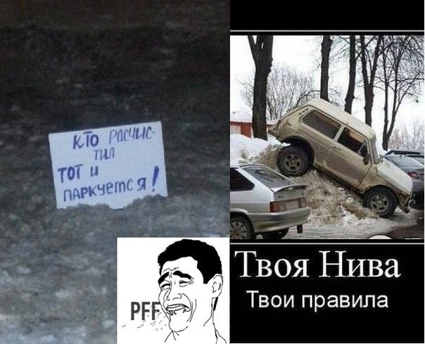 Забавные картинки из Сети