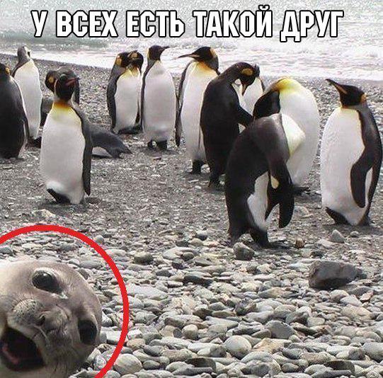 Картинки разные с просторов
