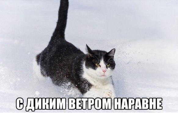 Немного картинок