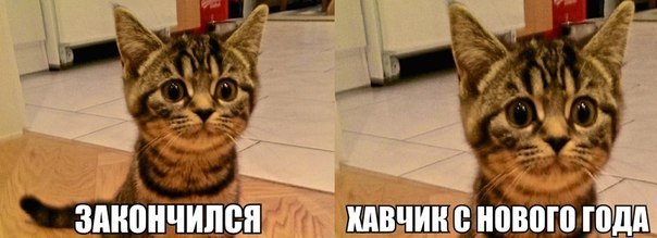 Всяко - разно...картинки