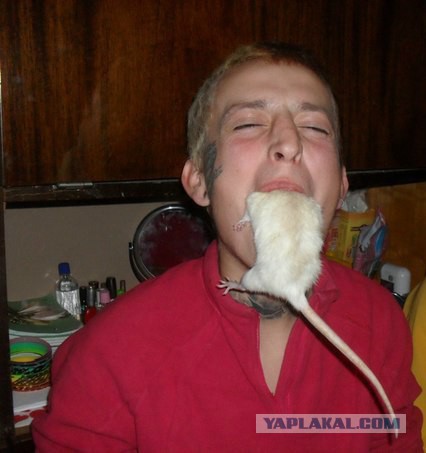 Японская мышеловка