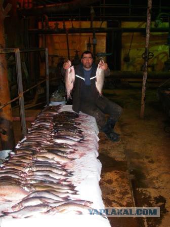 Работа вахтой в Якутии