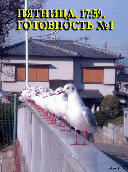 Уже да :) Ужо пятнецца...