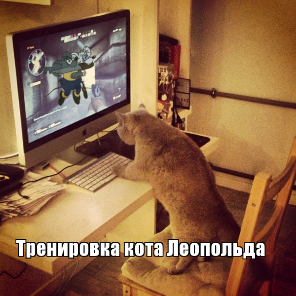 Смешные картинки