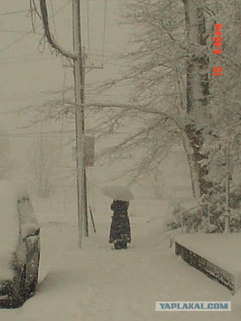 Как я побывал в США. Часть пятая. Заключительная