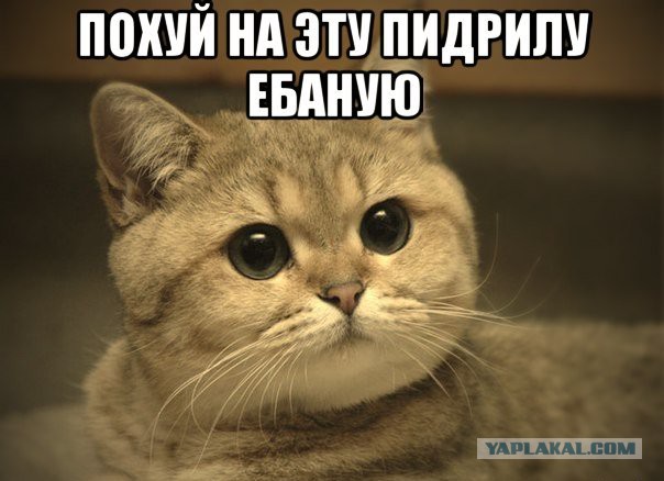 О том, как Америка своих не бросает ...