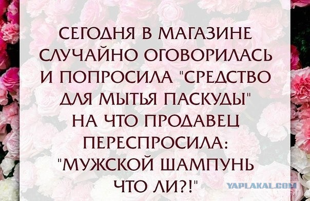 Забавные картинки из Сети