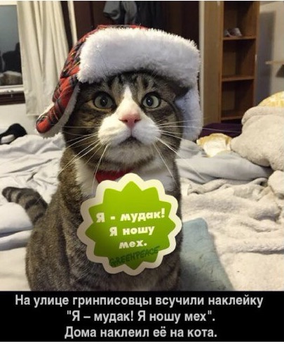 Картинки для поднятия настроения - 4