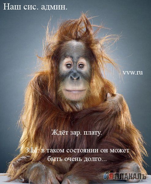Офис в лицах (15 фото)