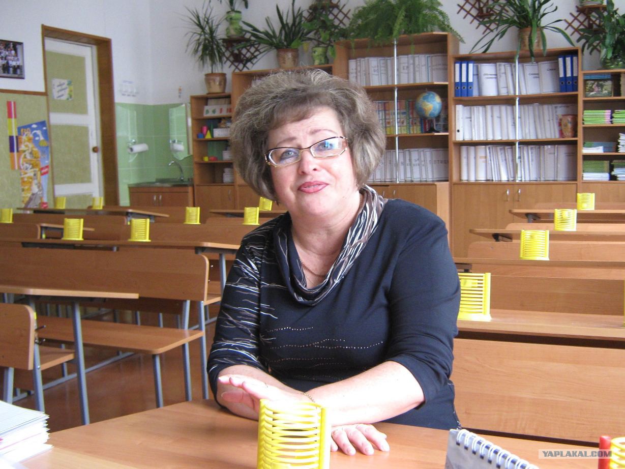 учительница начальных. молодые учителя в школах. учительница начальных. учительница обычная. учитель в школе у доски.