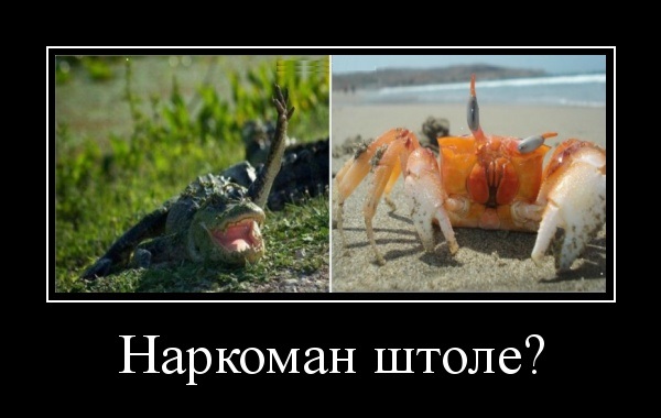 15 самых отвратительных животных, при виде которых вы обязательно скажите “Фууу”.