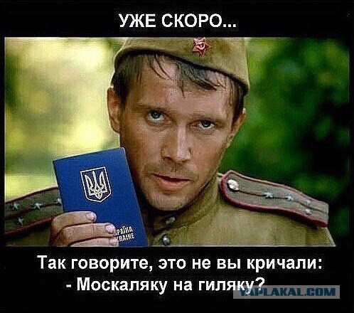 Брошенные Трампом: на Украине заговорили о возвращении страны под влияние России