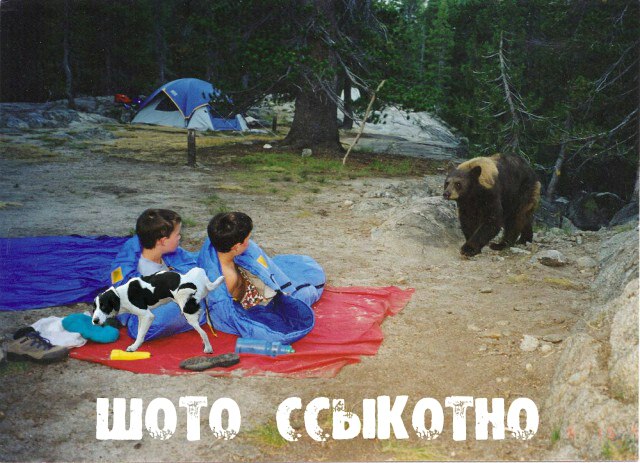 Неприятные неприятности случаются