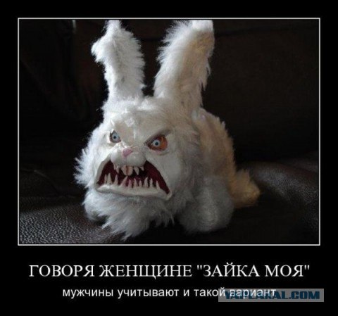 За что только мужчины любят полных девушек