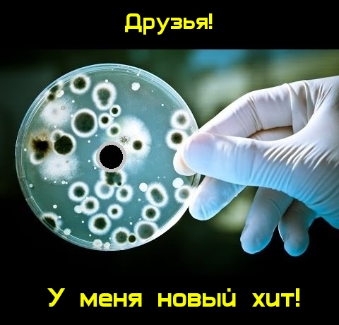 На зарядку позитивом становись!