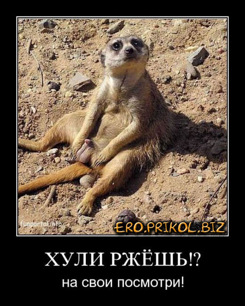 У нее тупо не заходит