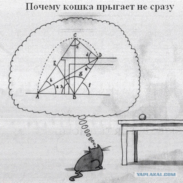 Прыжок рыси в замедленной съемке