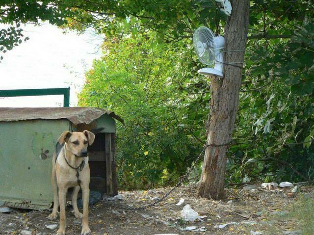 Приезжайте к нам в колхоз.