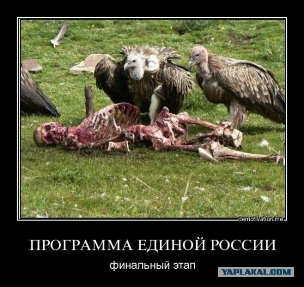 Год пенсионной реформы Путина