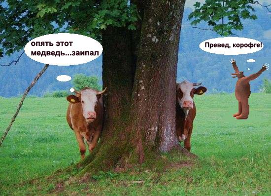 Как ты думаешь, измена скора отпустит?