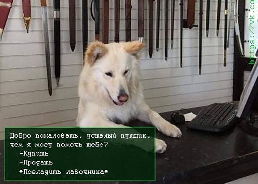 Бредзона 12.11.2020