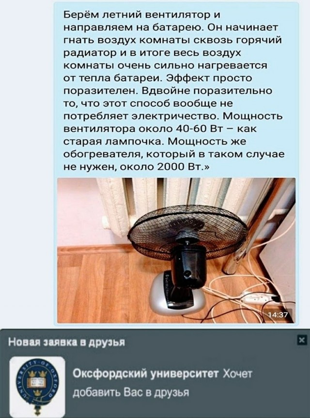 Веселые истории о нас №251