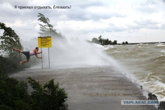 Фотожаба: И уносит меня, и уносит меня!