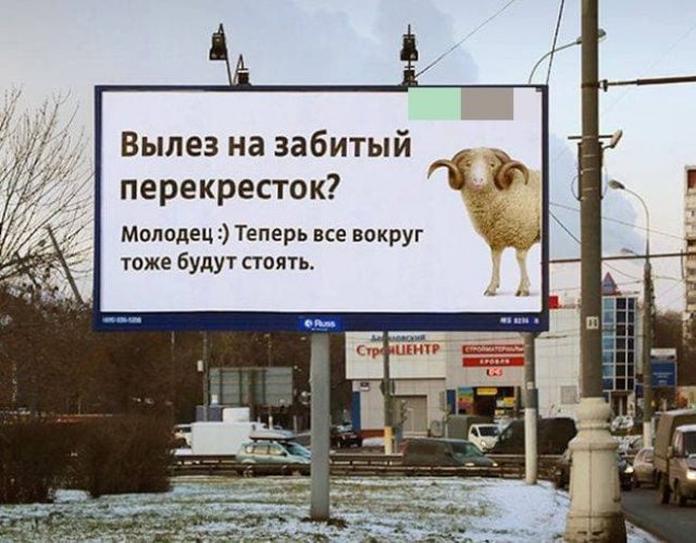 Картинки и мемы для настроения 029