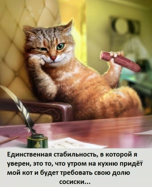Картинки и мемы для настроения