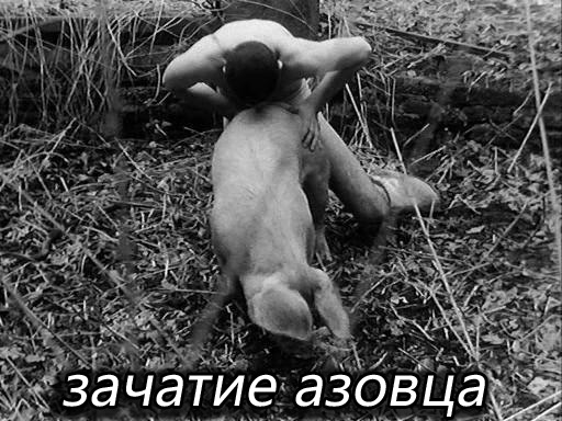 Полк "Азов" опубликовал фото условий жизни в бункере под Азовсталью