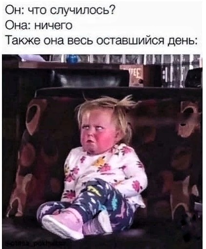 Смешные картинки 07.06.2022
