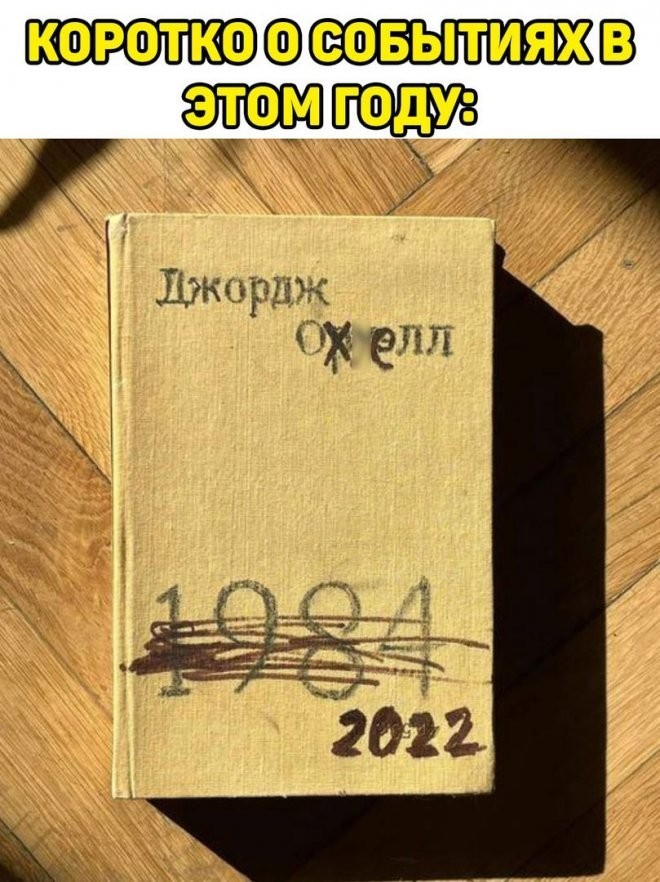 16894898.jpg