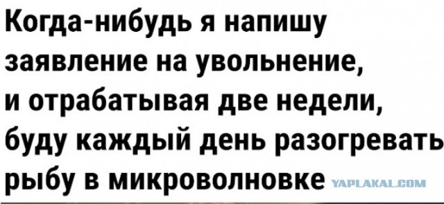 Всего понемногу. От 28.11.23