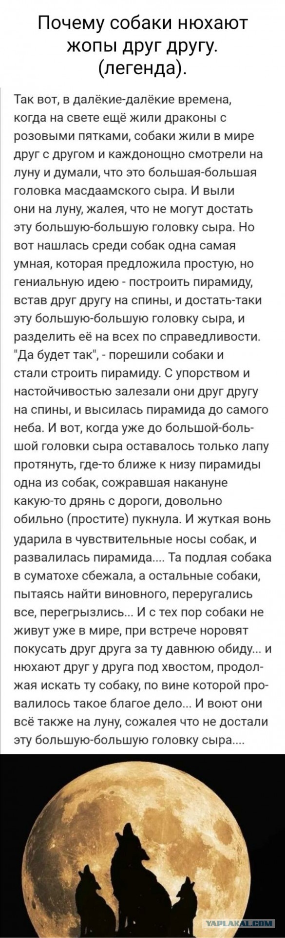 Никакие картинки и такие же тексты