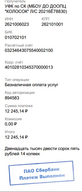 Почему путевки в лагеря детского отдыха стали стоить «как крыло самолета»
