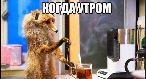Картинки для деградации 143 (разной степени свежести)