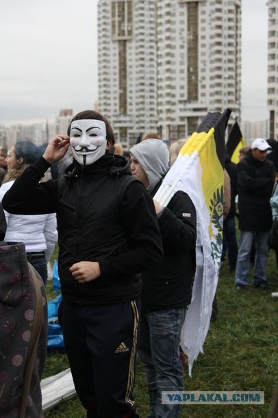 Прямая трансляция пресс-конференции!