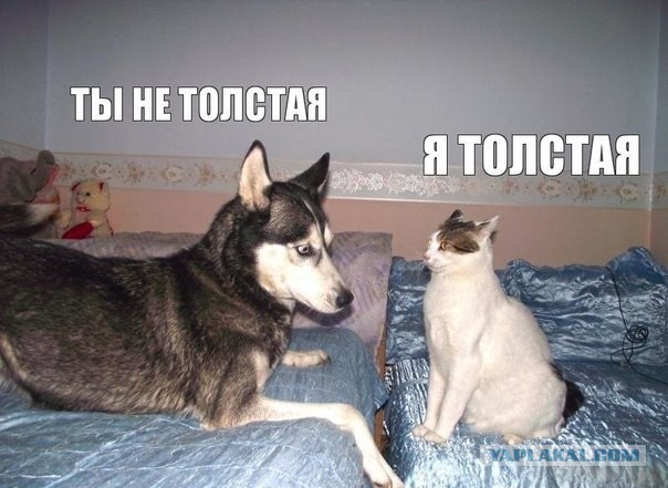 Толстая
