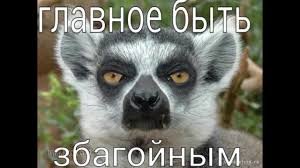 Импровизация, бачата
