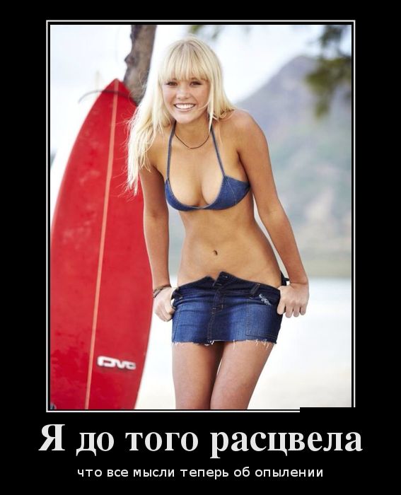 Смешные картинки и комментарии