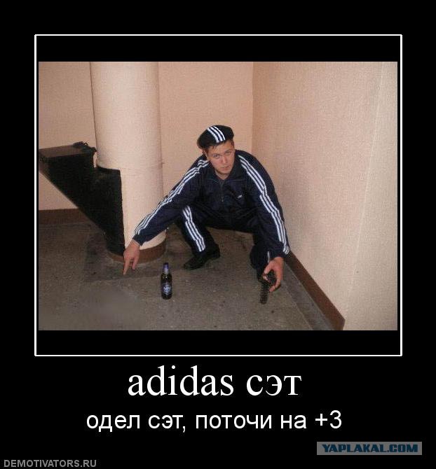 О толерантности
