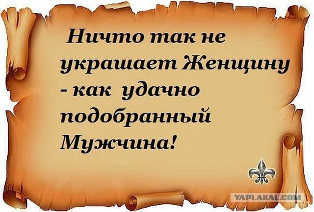 20 фактов обо всем