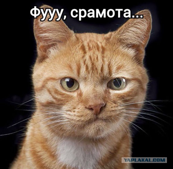 Развратный Оренбург