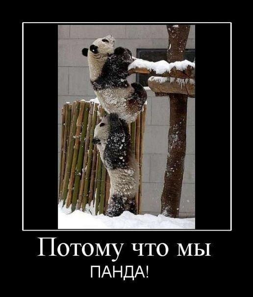 Вместе – мы сила