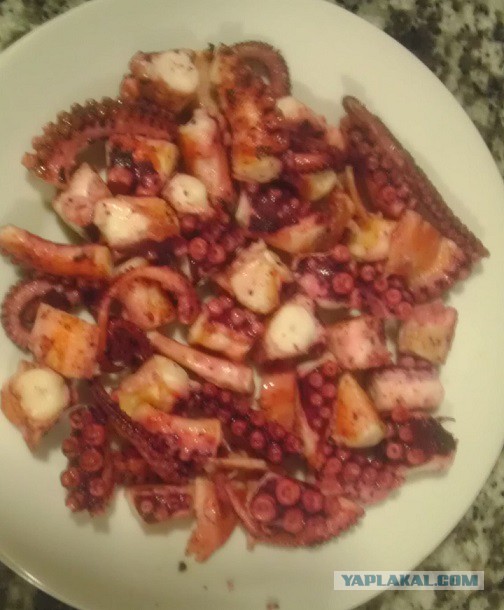 Кухня (кулинарное и околокулинарное общение)