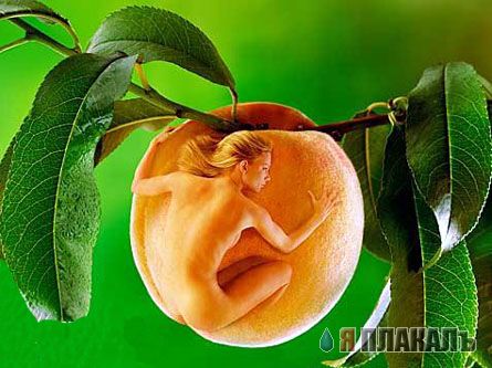 Эта сексуальная природа. РАСТЕНИЯ, ПЕЙЗАЖИ