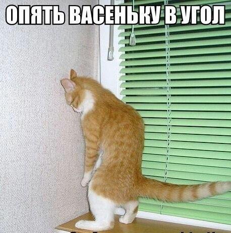 Позитив на воскресенье