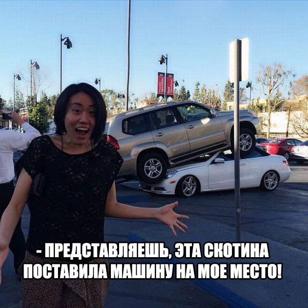 Пучок смешных картинок