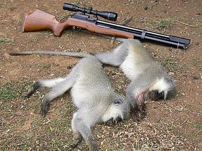 Драчун-террорист обещал изнасиловать всех ...